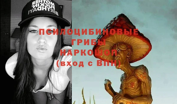 прущие крисы Абинск