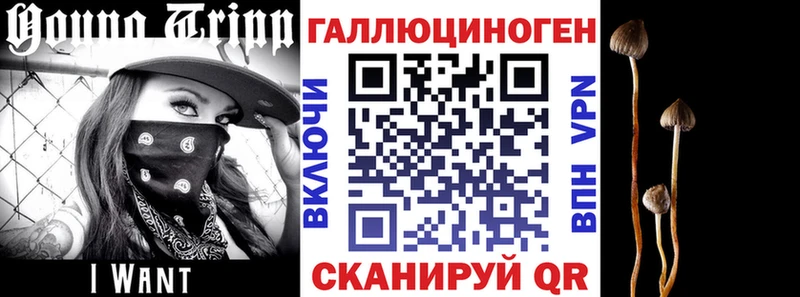Галлюциногенные грибы мухоморы Южно-Сухокумск